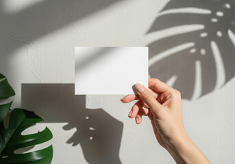 Obraz premium Hand holding blank white card with tropical plant shadows and light