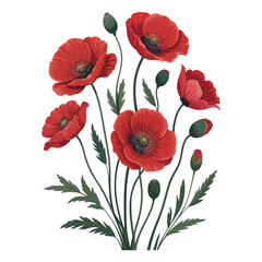Obraz premium Red Poppy Trio Flower vector