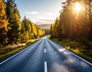Autumn road through a pine forest at sunset