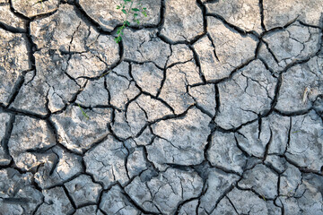 Cracked Dry Soil Texture Background