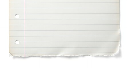 Obraz premium Torn Notebook Paper Texture Blank Lined Paper Background for Design