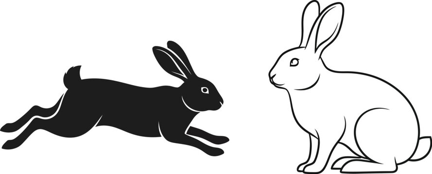 Huge Rabbit Vector