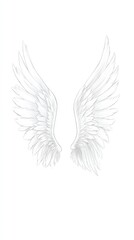 Obraz premium Elegant Angel Wings A Delicate Line Drawing of Feathery Wings Against a Pristine White Background