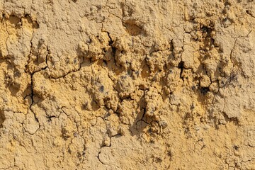 Dried, cracked earth, pale yellow-beige
