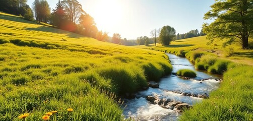 Sun-drenched meadow beside a gently flowing river, lush green grass and wildflowers,  wildflowers,  day