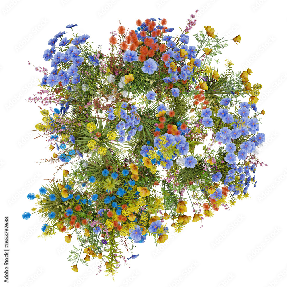 Poster top view colorful flowers and grass field in nature with isolated on transparent background - png fi