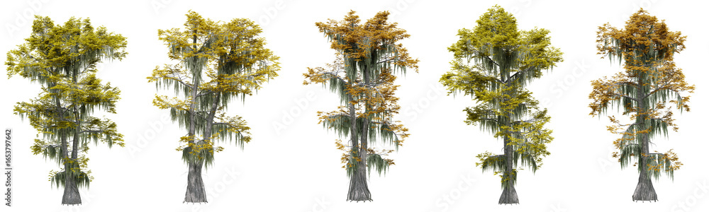 Poster collection of large woods cypress trees with isolated on transparent background. png file, 3d render