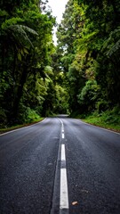 Fototapeta premium Forest road tunnel (1)