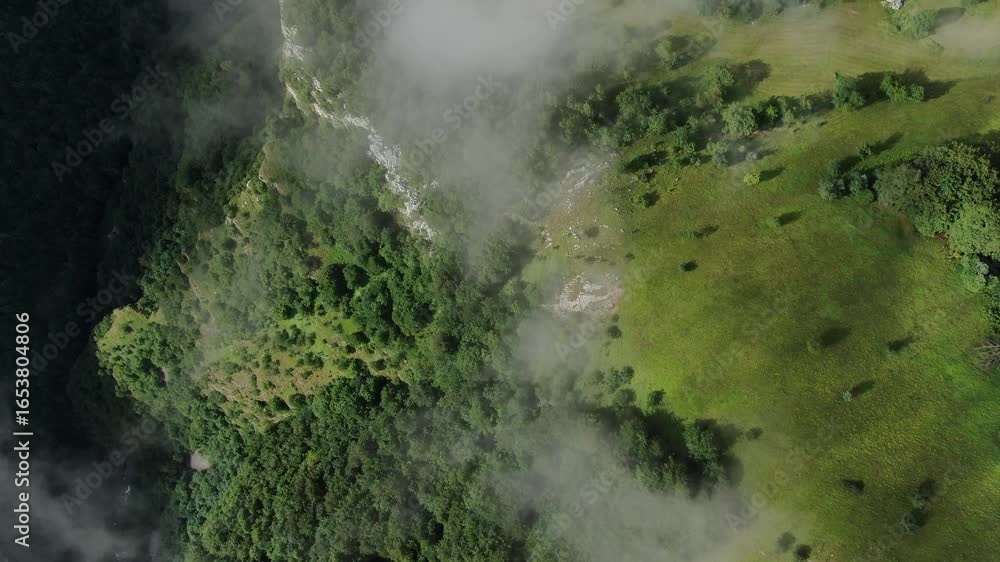 Poster aerial view of a green landscape with trees and a river clouds cover parts of the scene shadows from