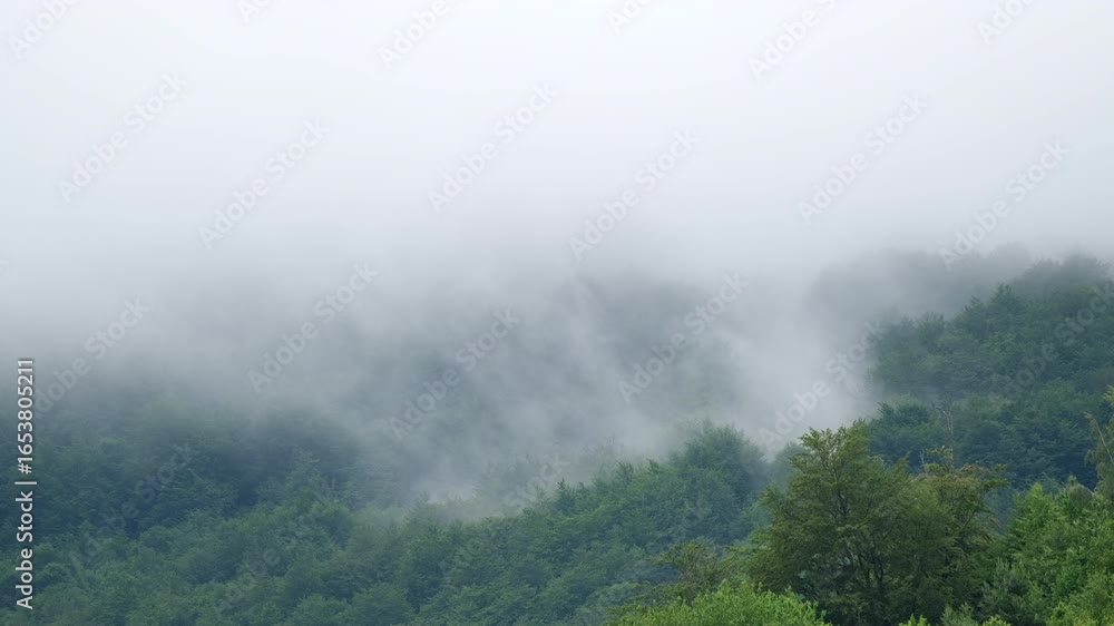 Aufkleber a view of trees and fog in a landscape with the fog obscuring some of the trees the fog covers much 