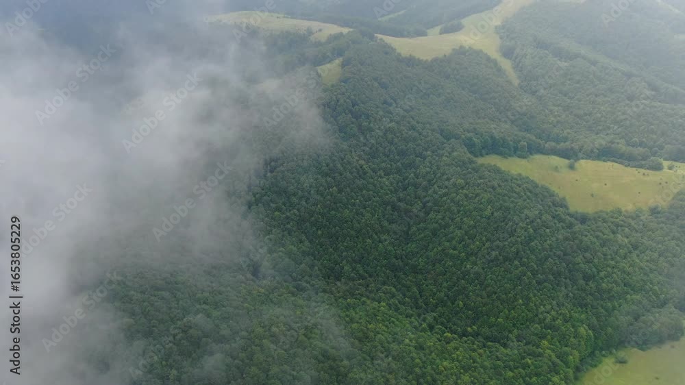 Poster aerial view of a forested area with some grass patches there is also cloud cover in the image the tr