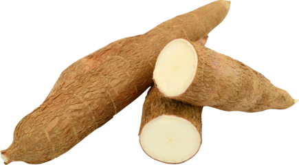 Cassava Isolated On Transparent Background