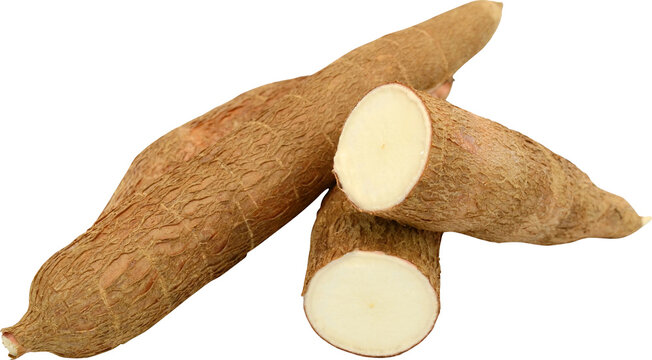 Cassava Isolated On Transparent Background