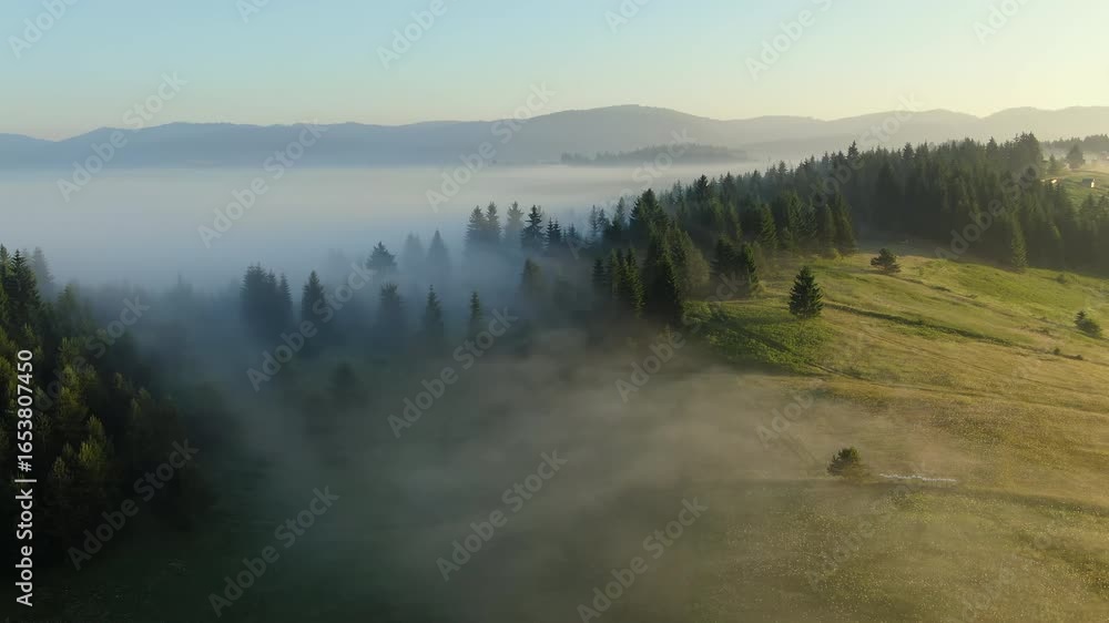 Poster a landscape shows a forest and a field under a layer of fog there are mountains in the distance and 