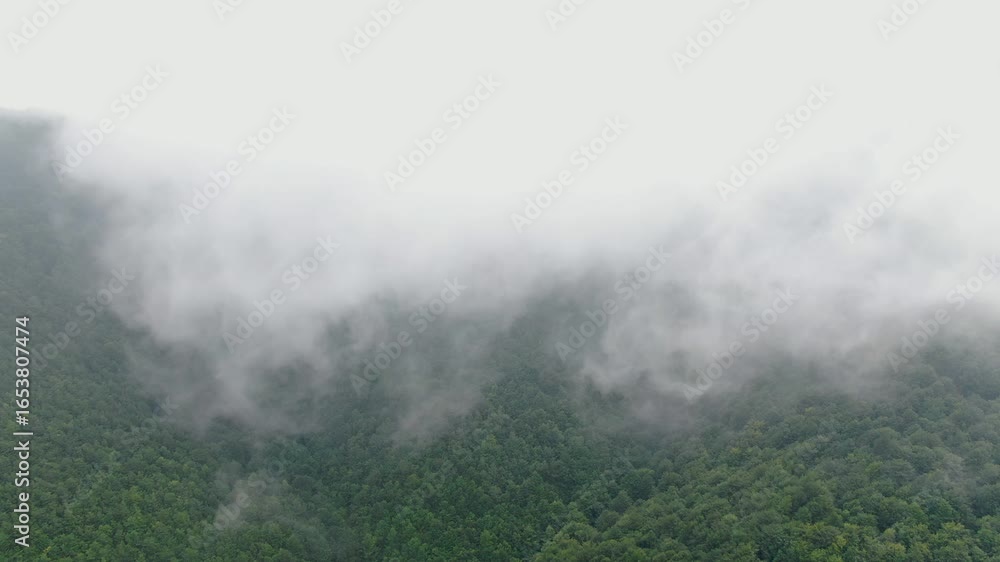 Aufkleber landscape view showing a mountainside covered in trees obscured by fog and low clouds creating a sen