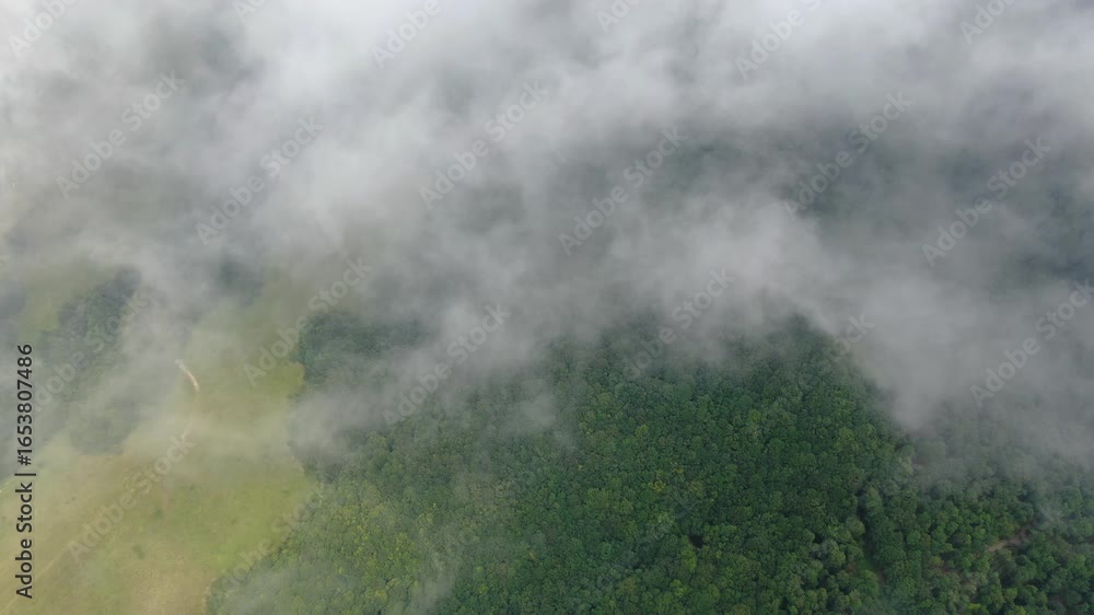Aufkleber landscape view of trees and ground partially obscured by fog and cloud cover aerial view of the fore
