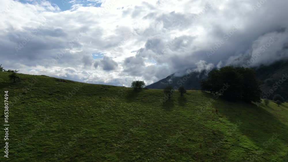 Aufkleber a sloping green field with trees under a cloudy sky and a mountain partially covered in fog can be s