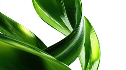 Abstract Green Leaf Ribbons on White Background