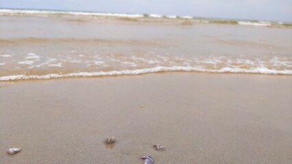 beach in the morning