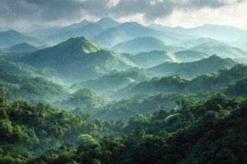 Naklejka premium Tropical forest views showcasing nature's beauty for eco-conscious projects, ideal for wellness retreats and sustainability campaigns