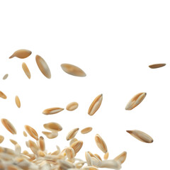 Oats grains isolated on transparent background with soft focus effect for lifestyle and wellness concept
