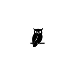 The owl is sitting.  হুদুম পেঁচা 