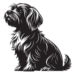 black maltese Silhouette Vector, High Quality Illustration on White Background