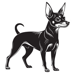 black minpin Silhouette Vector, High Quality Illustration on White Background