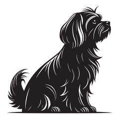black maltese Silhouette Vector, High Quality Illustration on White Background