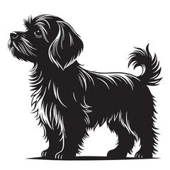 black maltese Silhouette Vector, High Quality Illustration on White Background