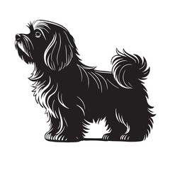 black maltese Silhouette Vector, High Quality Illustration on White Background