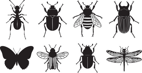 Elegant Swan Silhouette bird water bird, swan, bird, water bird, graceful, elegant, silhouette, white background, nature, wildlife, animal, symbol, purity, beauty, elegance, water, lake, pond, flight,