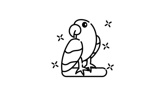 Cute macaw icon animation parrot perched on a branch with sparkle accents a charming animated microstock illustration project.