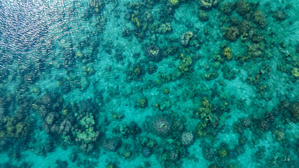 Top view. Summer sea water, blue surface. The water is clear with ripples and sparkles in the...