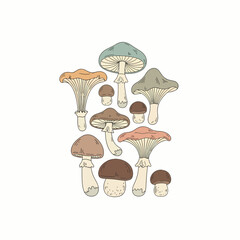 Hand-drawn illustration of various wild forest mushrooms in a charming, stylized design with muted, earthy colors.