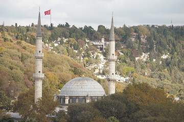 Naklejka premium View of mosque and flag surrounded by autumn trees