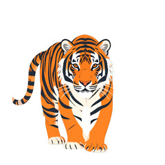 Obraz premium Vibrant Orange and Black Striped Tiger Walking Forward Isolated on White Background with Detailed Fur and Facial Features Digital Illustration
