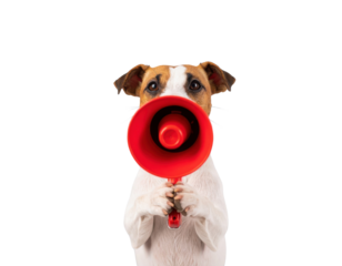 A dog holds a red megaphone, looking directly at the viewer with an expressive gaze.