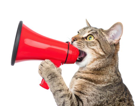 A cat holds a red megaphone, appearing to shout or make an announcement with an expressive face.