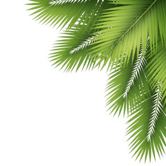 Green Palm Fronds Bordering Black Background with White Outline tropical foliage