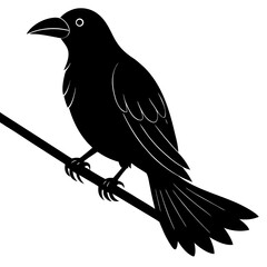 Black crow on a broomstick silhouette vector illustration