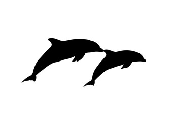 Fototapeta premium Abstract Black and White Particle Dispersion: Dynamic Motion Background isolated on transparent background