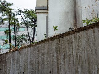 낯선 풍경속에서의 여행