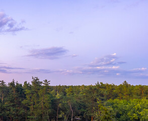 Purple sky over a green forest at sunset creating a beautiful landscape
