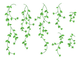 Cartoon Curly Green Vines Collection in Various Lengths for spring-themed designs, kids' crafts, and nature decorative elements © Nicole Lucida