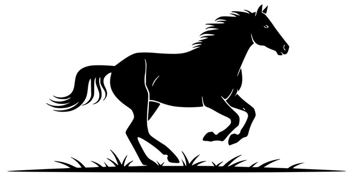 Horse runs quickly and plays with foal in open field gallops elegantly - Powered by Adobe