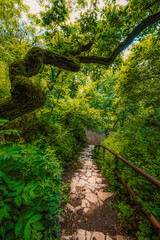 Fototapety na wymiar - Fototapeta24.pl