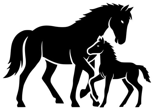 Horse runs quickly and plays with foal in open field gallops elegantly - Powered by Adobe