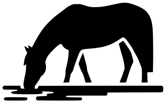 Horse runs quickly and plays with foal in open field gallops elegantly - Powered by Adobe