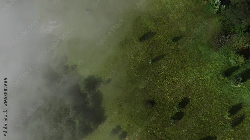Poster overhead view of a mountainside covered in a mixture of lush green grass and thick trees with a clou